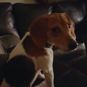 Meet your Posher, Jasmine